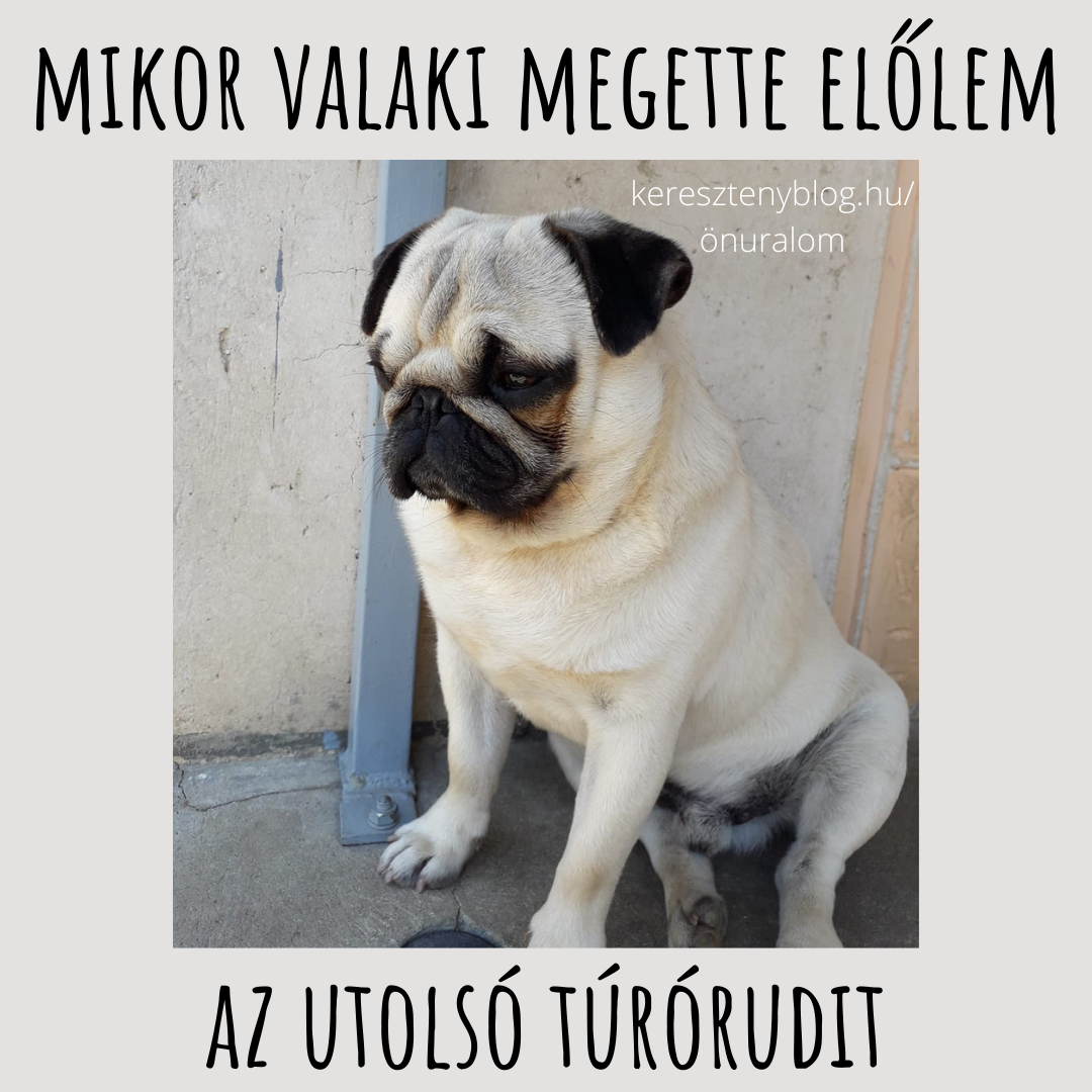 mopsz_png