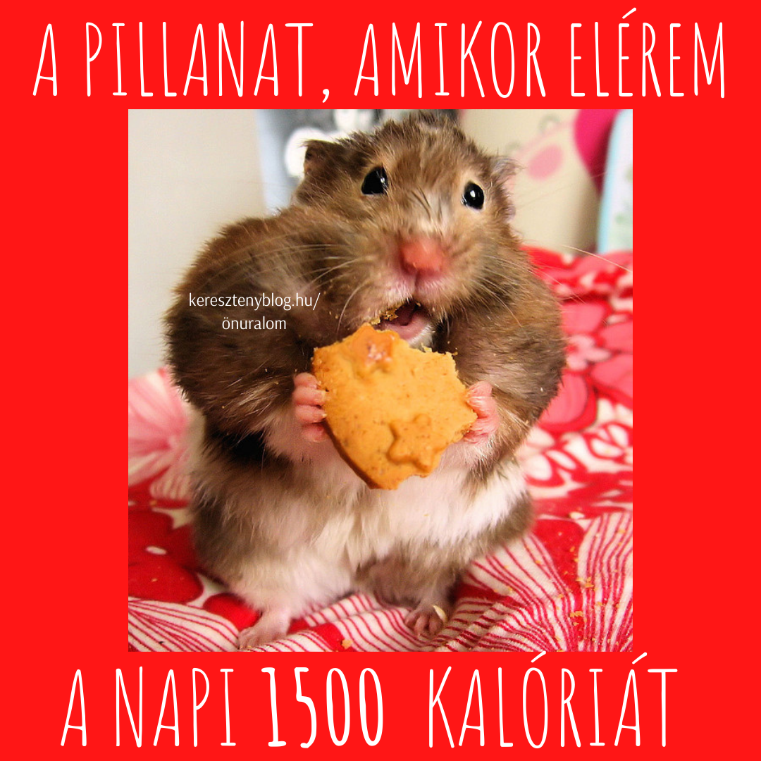 napi 1500_png