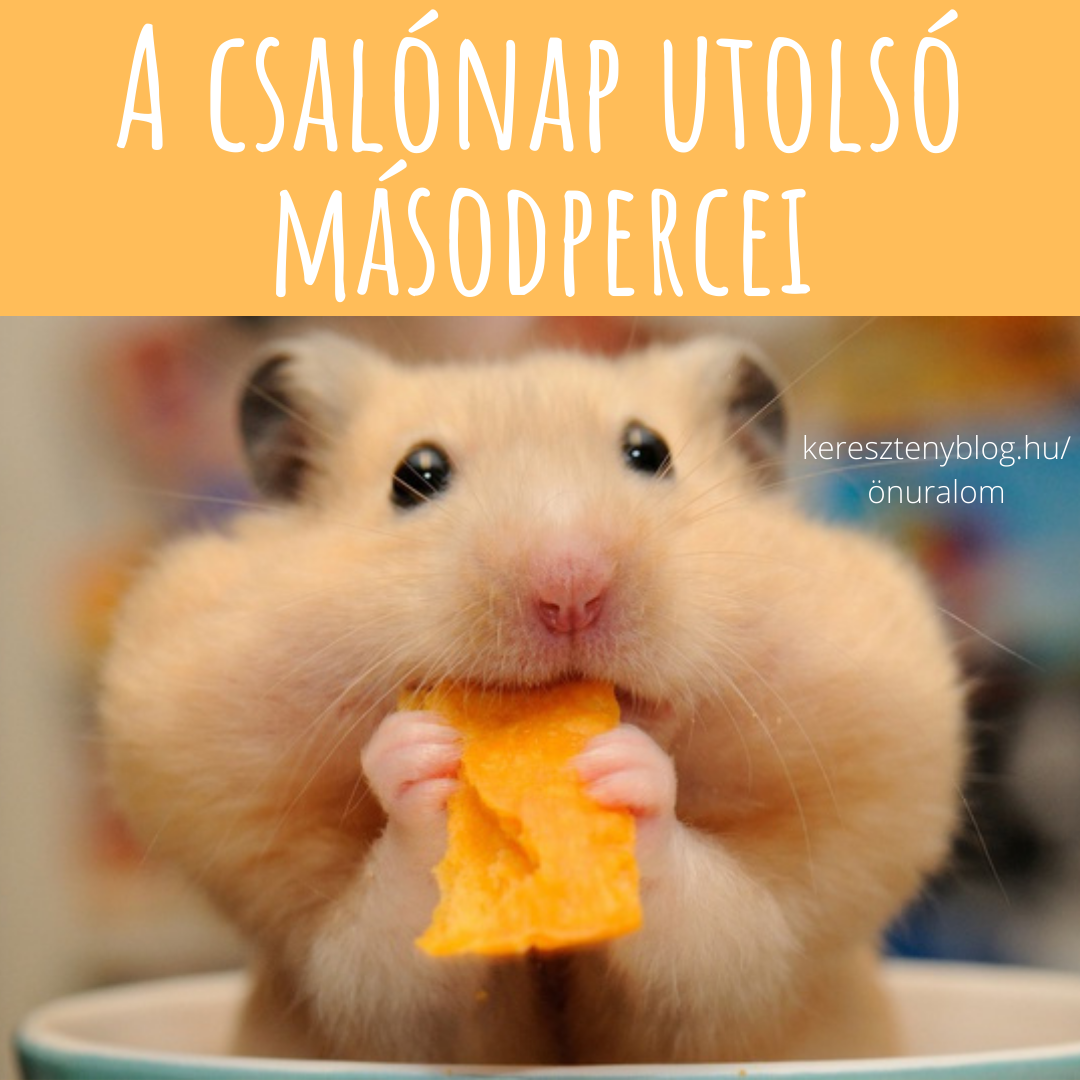 csalónap_png