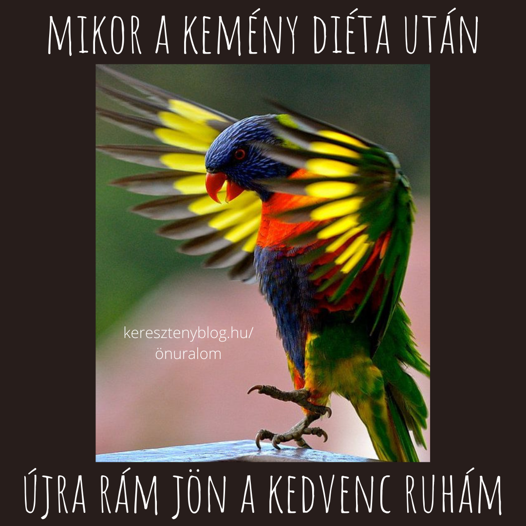 kedvenc ruha_png